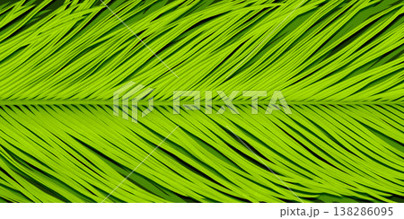 ナチュラルなシルエットが美しい、トロピカルなソテツの葉 138286095