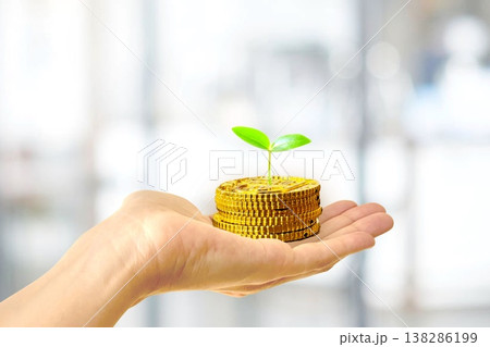 お金が芽生えるイメージ お金が芽生えるイメージ 138286199