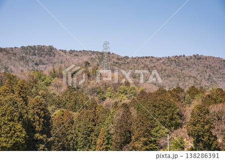北小松の山林風景　滋賀県大津市北小松 138286391