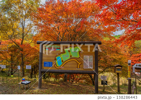 豊田市のタカドヤ湿地の風景(愛知県) 豊田市のタカドヤ湿地の風景(愛知県) 138286443