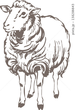 年賀2027　手描きの羊の水墨画、墨絵、水彩、未年の年賀状素材　イラスト　デザイン　アート　 138286643
