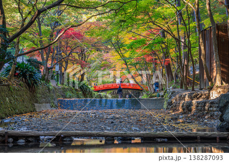 森町の遠江国一宮小國神社の紅葉の風景(静岡県) 138287093