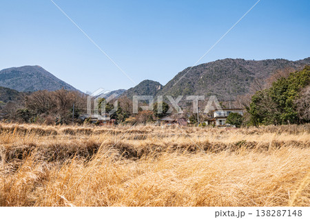 湖西地方の棚田風景　滋賀県大津市北小松 138287148