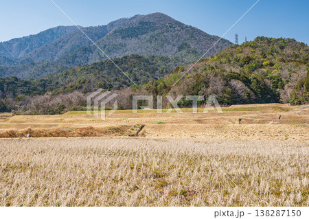湖西地方の棚田風景 滋賀県大津市北小松 湖西地方の棚田風景 滋賀県大津市北小松 138287150