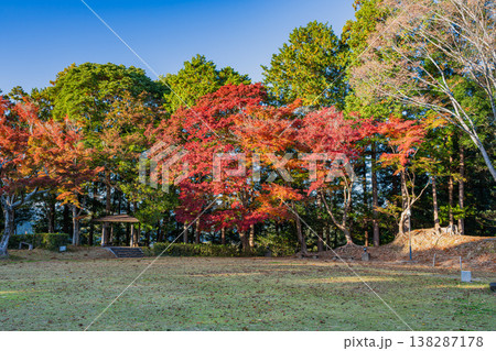 浜松市の二俣城跡の風景(静岡県) 138287178