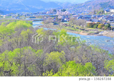 新緑の利根川 桜の季節 月夜野大橋からの眺め 新緑の利根川 桜の季節 月夜野大橋からの眺め 138287288
