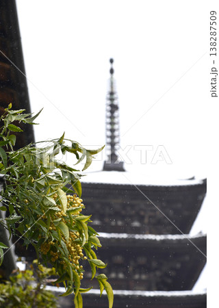 粉雪の降る八坂の塔と白南天 粉雪の降る八坂の塔と白南天 138287509