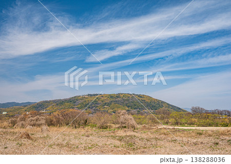 淀川河川公園御幸橋野草地区から天王山の眺め 京都府八幡市 淀川河川公園御幸橋野草地区から天王山の眺め 京都府八幡市 138288036