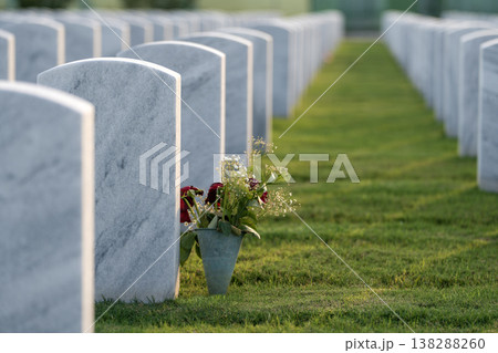 American army national cemetery with rows of white headstones on green grass lawn. Memorial Day concept 138288260