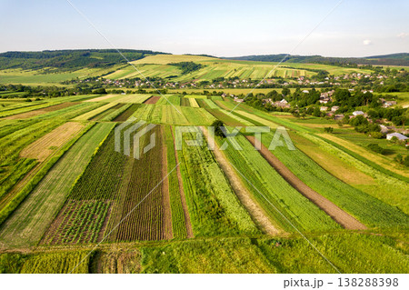 Aerial view of green agricultural fields in spring with fresh vegetation after seeding season on a warm sunny day. Aerial view of green agricultural fields in spring with fresh vegetation after seeding season on a warm sunny day. 138288398