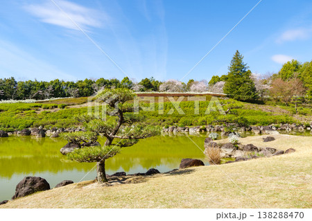 池のある春の庭園(愛知県豊田市 愛知県緑化センター) 池のある春の庭園(愛知県豊田市 愛知県緑化センター) 138288470