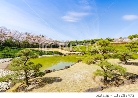 池のある春の庭園(愛知県豊田市 愛知県緑化センター) 池のある春の庭園(愛知県豊田市 愛知県緑化センター) 138288472
