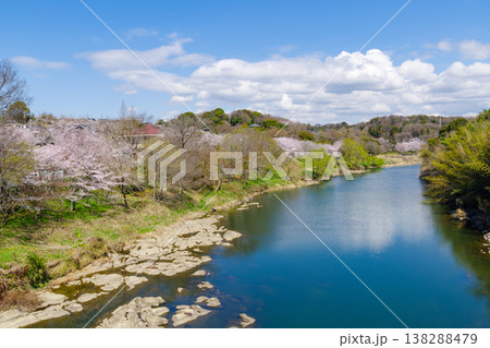 桜の咲く勘八峡(愛知県豊田市・平戸橋) 桜の咲く勘八峡(愛知県豊田市・平戸橋) 138288479
