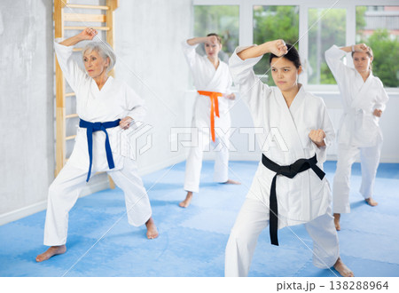 Female martial arts instructor leading karate kata training for group Female martial arts instructor leading karate kata training for group 138288964