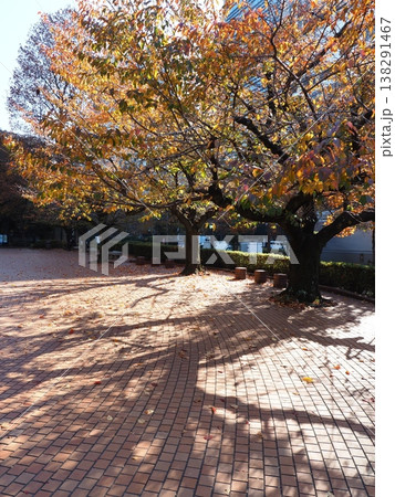 日比谷公園 模様 帝国ホテル 日比谷公園 模様 帝国ホテル 138291467