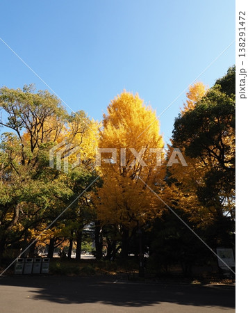 日比谷公園　模様　帝国ホテル 138291472