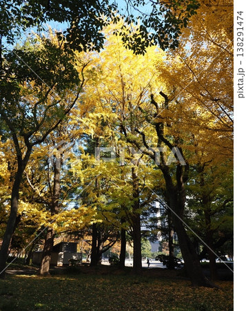 日比谷公園　模様　帝国ホテル 138291474