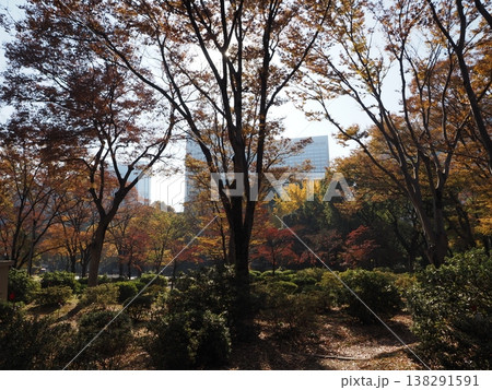 日比谷公園 模様 帝国ホテル 日比谷公園 模様 帝国ホテル 138291591
