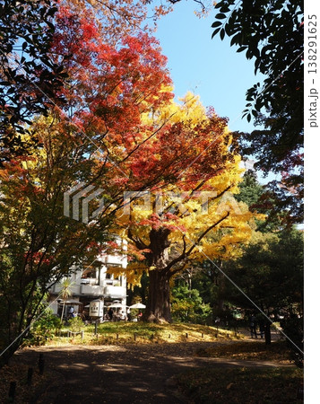 日比谷公園 模様 帝国ホテル 日比谷公園 模様 帝国ホテル 138291625
