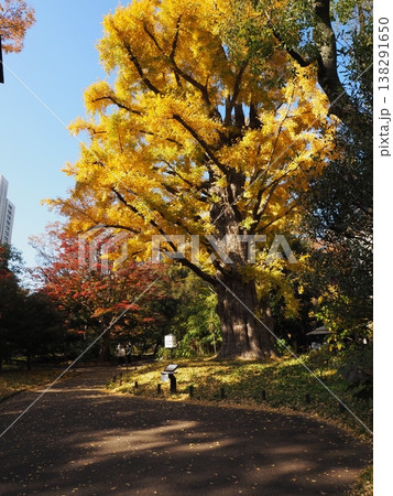 日比谷公園 模様 帝国ホテル 日比谷公園 模様 帝国ホテル 138291650