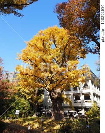 日比谷公園　模様　帝国ホテル 138291654