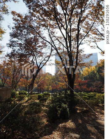 日比谷公園 模様 帝国ホテル 日比谷公園 模様 帝国ホテル 138291656