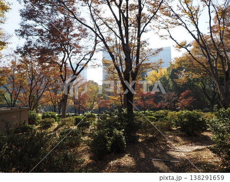 日比谷公園 模様 帝国ホテル 日比谷公園 模様 帝国ホテル 138291659