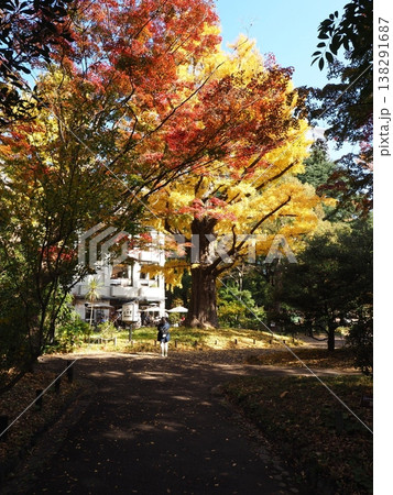 日比谷公園　模様　帝国ホテル 138291687