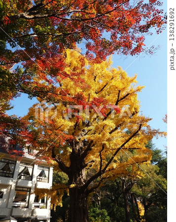 日比谷公園　模様　帝国ホテル 138291692
