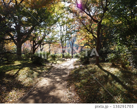 日比谷公園 模様 帝国ホテル 日比谷公園 模様 帝国ホテル 138291703
