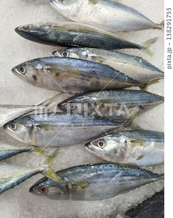 Raw fish fresh fish mackerel seafood market ice food ingredient ocean fishing raw fish fresh fish mackerel seafood market crushed ice food ingredient from ocean fishing catch chilling display Raw fish fresh fish mackerel seafood market ice food ingredient ocean fishing raw fish fresh fish mackerel seafood market crushed ice food ingredient from ocean fishing catch chilling display 138291755