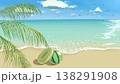 ヤシの木の葉とカモメ、スイカ柄ビーチボール、浮き輪が描かれたギラギラと眩しい真夏のビーチの手描き風景 138291908