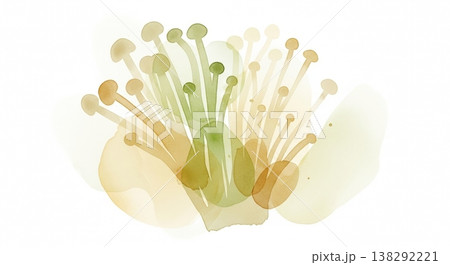 みずみずしく新鮮なえにきだけの淡い水彩イラスト 柔らかいタッチのナチュラル野菜素材 みずみずしく新鮮なえにきだけの淡い水彩イラスト 柔らかいタッチのナチュラル野菜素材 138292221