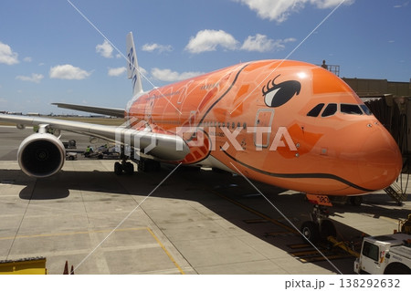 ハワイに駐機中のフライングホヌ ハワイに駐機中のフライングホヌ 138292632