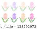 ヒヤシンス 138292972