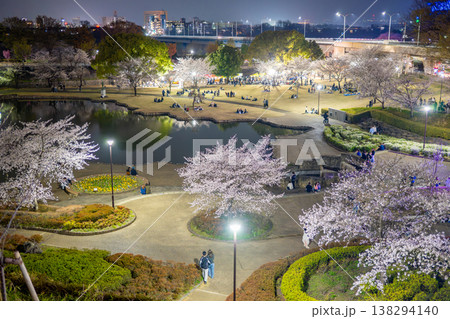 お花見の風景(前橋・楽歩堂前橋公園) お花見の風景(前橋・楽歩堂前橋公園) 138294140