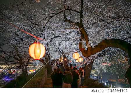 お花見の風景(前橋・楽歩堂前橋公園) お花見の風景(前橋・楽歩堂前橋公園) 138294141