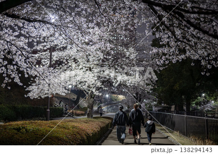 お花見の風景(前橋・楽歩堂前橋公園) お花見の風景(前橋・楽歩堂前橋公園) 138294143