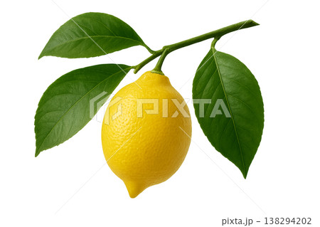 レモン 138294202
