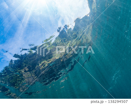 水面を泳ぐイトヒキアジ幼魚。他。 ヒリゾ浜南伊豆町中木 静岡県伊豆半島-2025 日本有数のシュノー 138294507