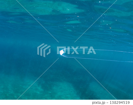 水面を泳ぐイトヒキアジ幼魚。他。 ヒリゾ浜南伊豆町中木 静岡県伊豆半島-2025 日本有数のシュノー 138294519