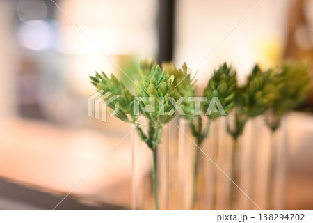 試験管に生けられた多肉植物風のグリーン 試験管に生けられた多肉植物風のグリーン 138294702