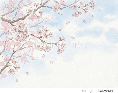 水彩画　手描き　桜 138294841