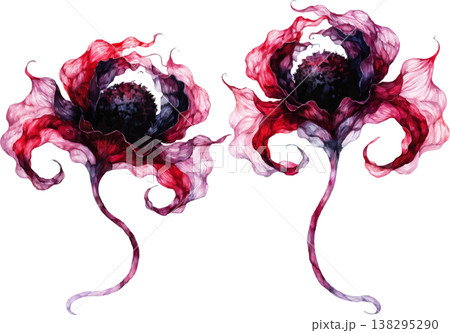 Set of Two Artistic Watercolor Red and Purple Flowers 138295290
