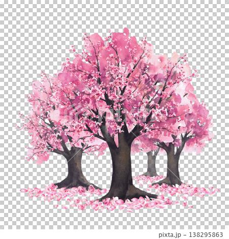 Blooming sakura trees with soft pink cherry blossoms flowers and falling petals. Hand painted watercolor asian landscape illustration. isolated nature design for spring japan Hanami festival design Blooming sakura trees with soft pink cherry blossoms flowers and falling petals. Hand painted watercolor asian landscape illustration. isolated nature design for spring japan Hanami festival design 138295863