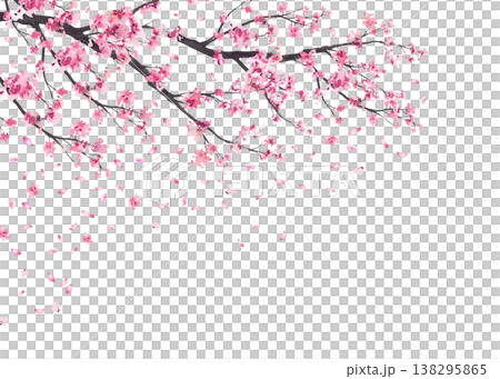 Cherry blossom branches with falling pink sakura petals frame. Hand painted in watercolor floral springtime illustration isolated on white background template for wedding invitations, greeting cards. Cherry blossom branches with falling pink sakura petals frame. Hand painted in watercolor floral springtime illustration isolated on white background template for wedding invitations, greeting cards. 138295865