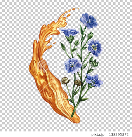 Flaxseed oil. Hand-drawn watercolor illustration. Splash of oil and flax flowers. Element of label and packaging design, banners, posters, and more. Flaxseed oil. Hand-drawn watercolor illustration. Splash of oil and flax flowers. Element of label and packaging design, banners, posters, and more. 138295872