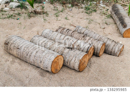 Cut palm tree trunks lying on sandy ground on tropical beach Koh Samui Thailand 138295985