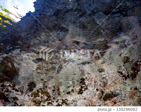 水面を泳ぐイトヒキアジ幼魚。他。 ヒリゾ浜南伊豆町中木 静岡県伊豆半島-2025 日本有数のシュノー 138296082