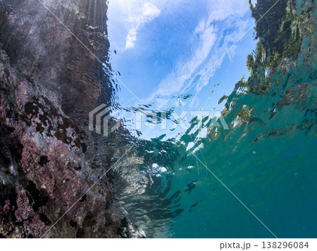 水面を泳ぐイトヒキアジ幼魚。他。 ヒリゾ浜南伊豆町中木 静岡県伊豆半島-2025 日本有数のシュノー 138296084